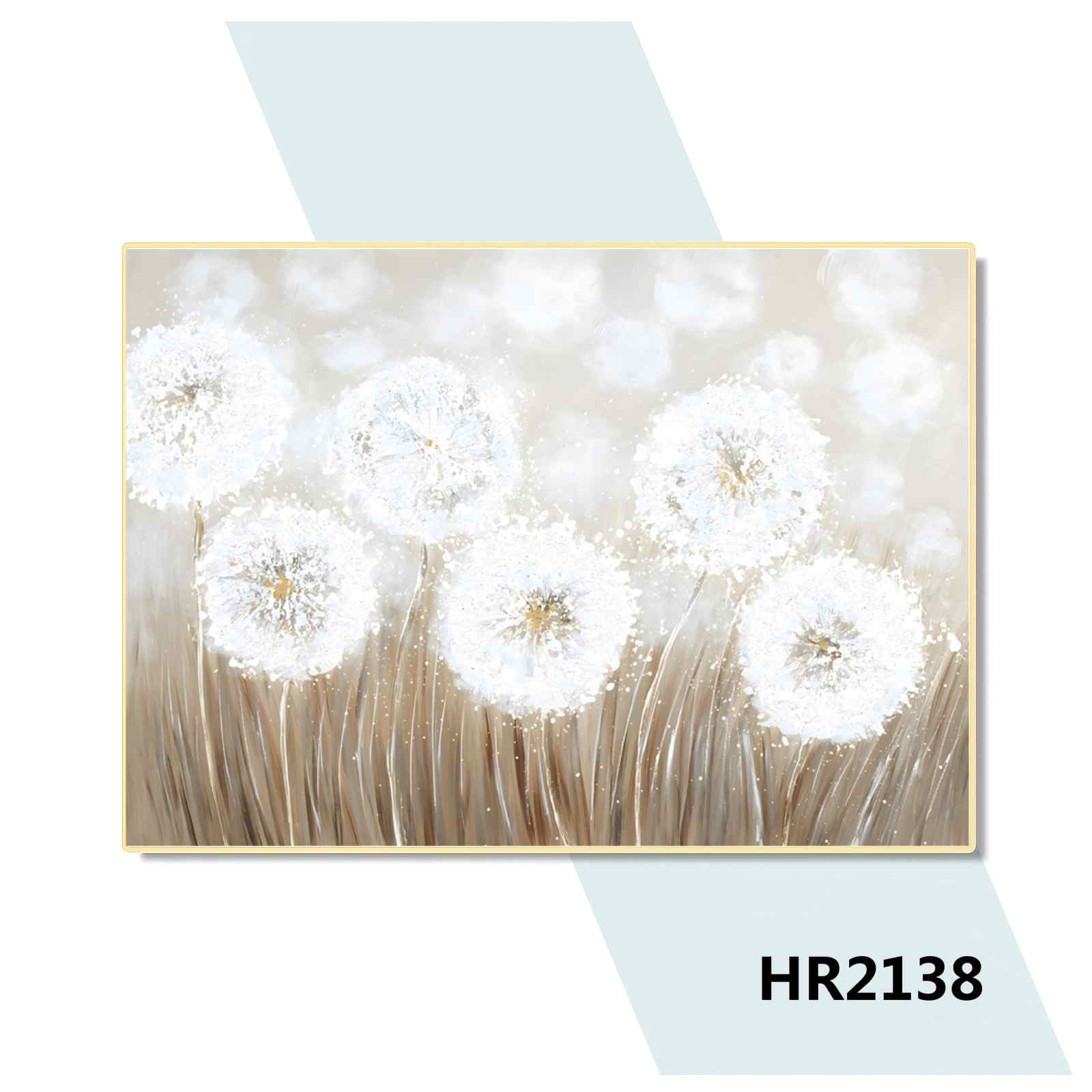 HR2138