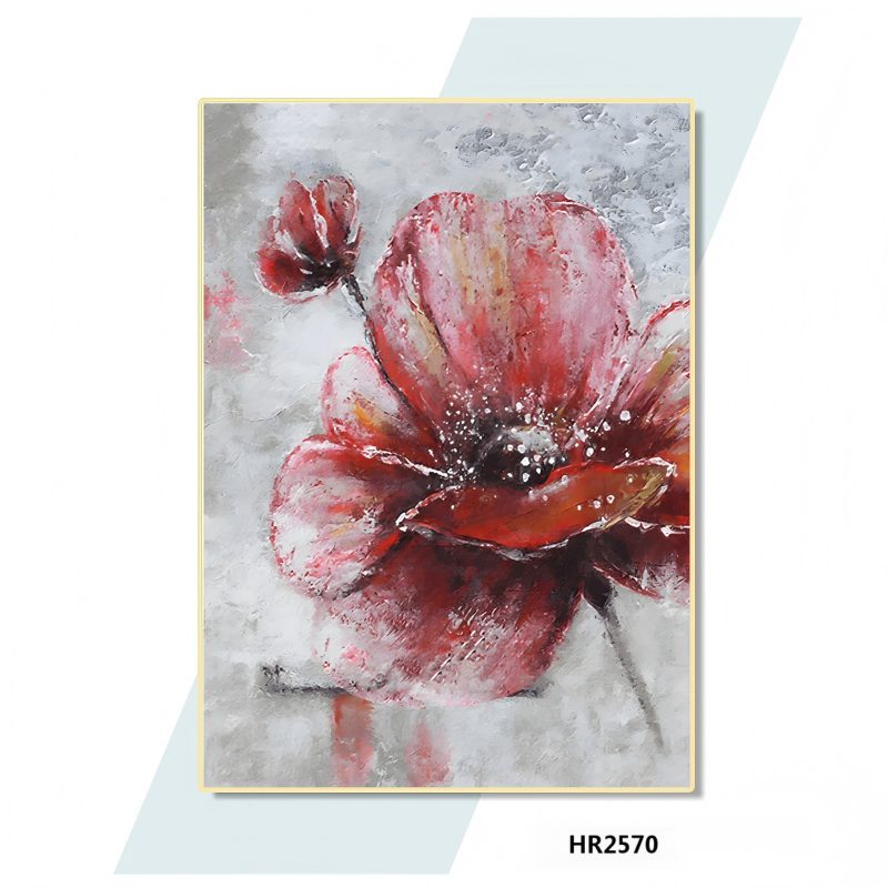 HR2570